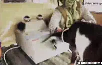 ابن عمي يضاجعني في المؤخرة بقضيب اصطناعي ضخم.