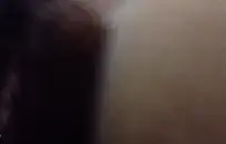 كل شيء في الحمار