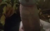 المراهقون في المدرسة يلعقون وجوههم ويمارسون الجنس (بطريقة جنسية).