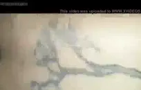 حار غرينغا يمارس الجنس مع بوسها مع دسار