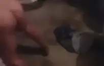 سخيف صديقي من الخلف بينما هي على الهاتف.