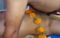 مرونة الجمال و مفلس اللعب مع دسار.