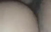 الديك الأسود العملاق وشاعر كبير في الأماكن العامة.