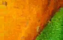 مص قضيبه مع نائب الرئيس في الفم.