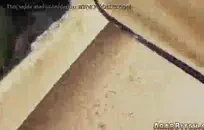 Bf يعطي الزوجة اللسان بينما زوجها في الغرفة الأخرى.