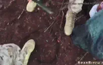 الصبي الأسود ينفخ ديك من أجل الدولارات