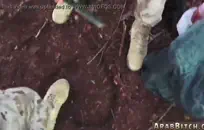 دعنا نرى قطتك من أجل بعض المال يا عزيزتي.