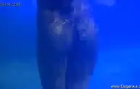 ممد يوم الشهر مع كل نائب الرئيس sfw.