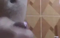 في سن المراهقة مع ضخمة الثدي يظهر كل ذلك على كاميرا ويب.