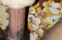 الشبق جيلينا جنسن يمارس الجنس مع صديقها وصديقه المفضل.