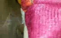 قرنية شقراء وقحة مص ديك واللعب مع كس.