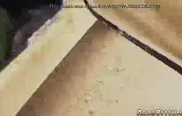 شعر الدب الملاعين بوسها أثناء مشاهدة التلفزيون.